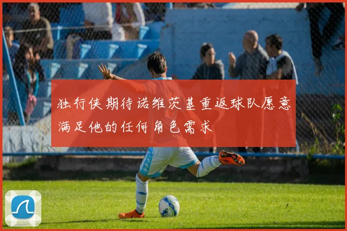 独行侠期待诺维茨基重返球队愿意满足他的任何角色需求