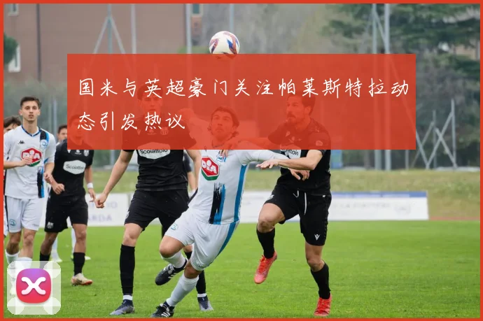 国米与英超豪门关注帕莱斯特拉动态引发热议